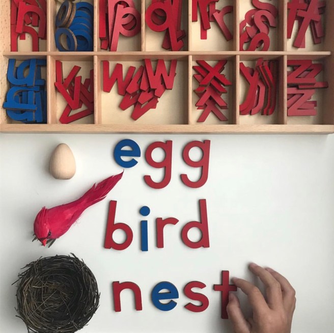 Montessori Letters